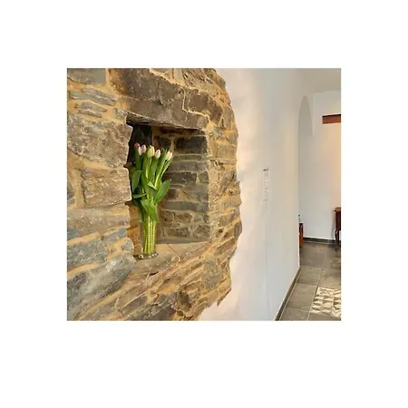 Winzerscheune Apartamento Mayschoß